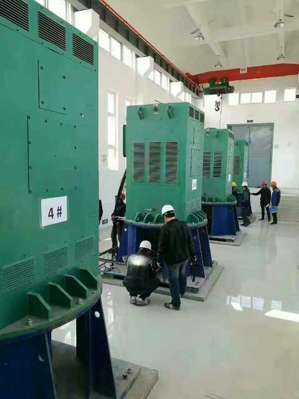 合江某污水处理厂使用我厂的立式高压电机安装现场